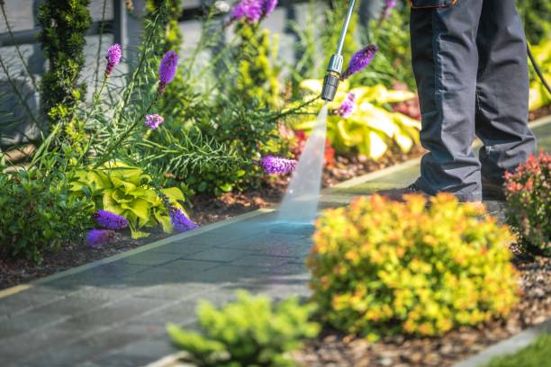 Best Gutter Cleaning  in Fanwood, NJ